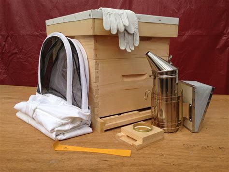 Preparing for Early Spring: A Beekeeper’s January Checklist
