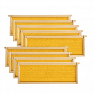 Medium Foundation Frame
