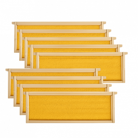 Medium Foundation Frame